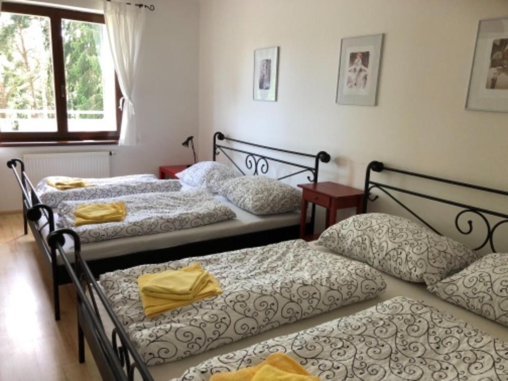Apartmany Lipno Boucek ليبنو ناد فلتافو المظهر الخارجي الصورة
